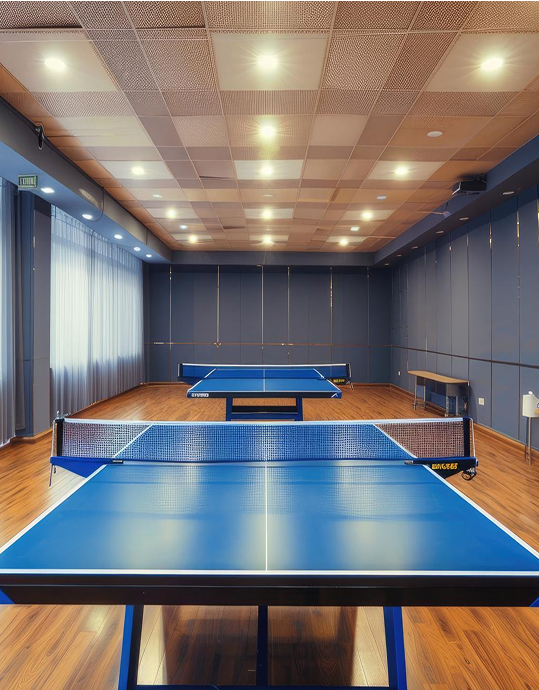 table_tennis